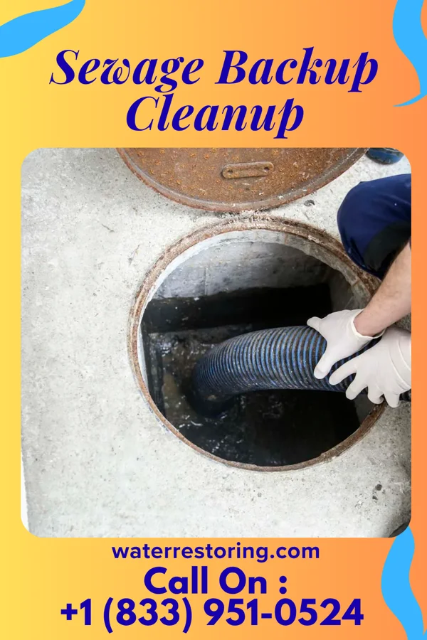 Sewage Backup Cleanup in Boaz, WI
